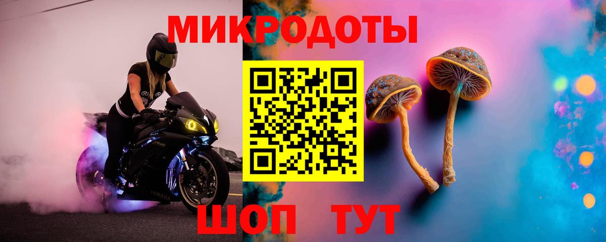 Галлюциногенные грибы Cubensis  Вход с VPN  Галлюциногенные грибы мицелий  Георгиевск 